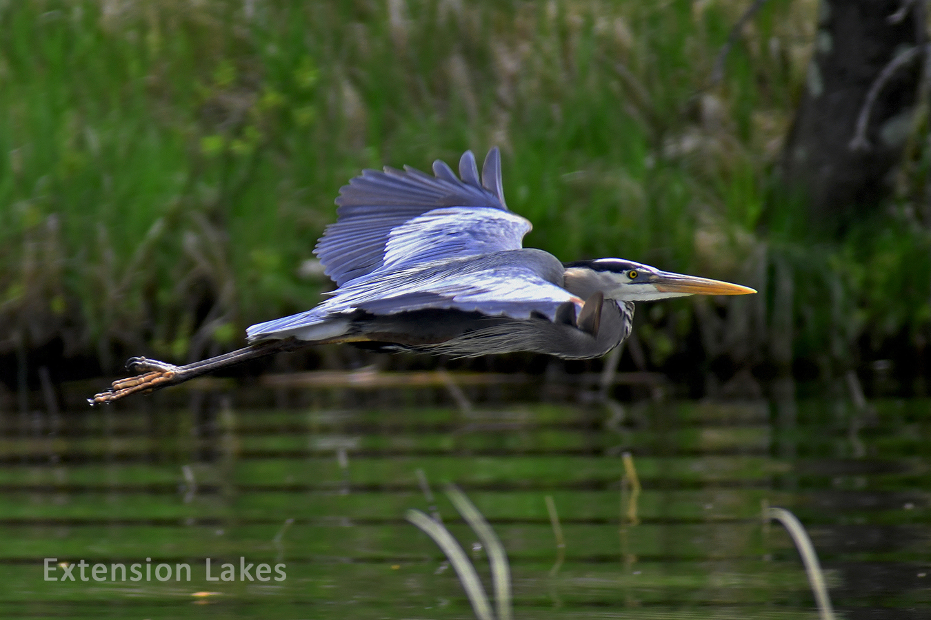 UWSP - Extension Lakes - Programs - Convention - 2021 - Photo Contest ...